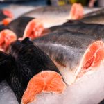 Somonul Atlantic: O Specie Pe Calea Dispariției – Implicații și Soluții pentru Viitor