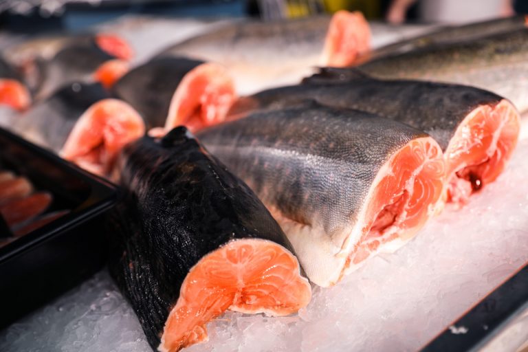 Somonul Atlantic: O Specie Pe Calea Dispariției – Implicații și Soluții pentru Viitor