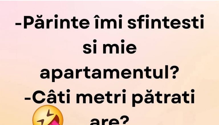 Umorul și subtilitatea: O analiză a poveștii "Sfințirea apartamentului"