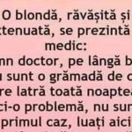 Umorul în viața cotidiană: Analiza unui banc despre o blondă și câini