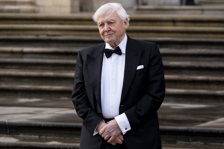 David Attenborough la 100 de ani: Dieta legendarului jurnalist britanic și impactul său asupra sănătății și mediului