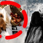 Familia în expansiune: Olivia Culpo și Christian McCaffrey anunță sosirea celui de-al doilea copil