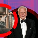 Moley, Cățelușa Reginei Camilla: O Vedetă în Ascensiune și Legătura cu David Attenborough