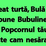 Umorul Românesc: Analiza Bancurilor cu Bulă și Bubulina