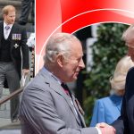 Impactul Vizitei Regelui Charles în SUA asupra Relației dintre Prințul Harry și Meghan Markle