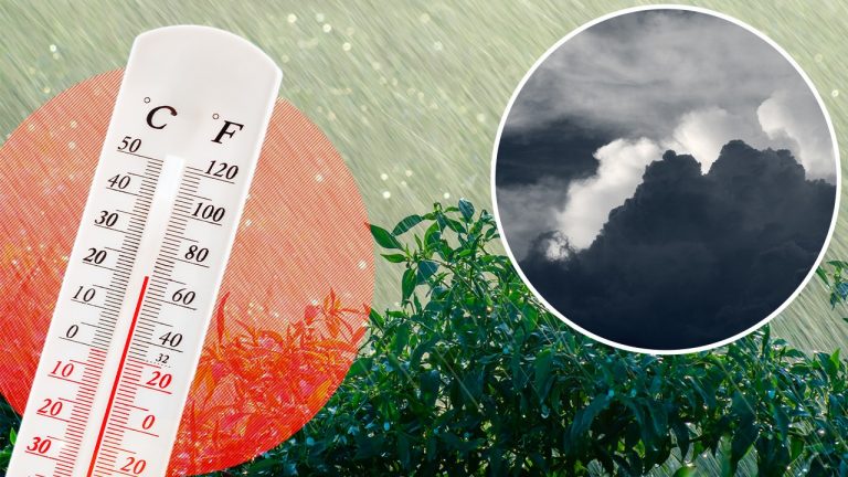Vremea neașteptată din mijlocul lunii mai: Cum influențează schimbările climatice prognoza meteo în România