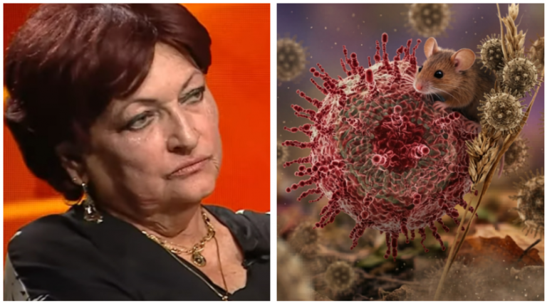 Hantavirusul: O Amenințare Subestimată sau O Panicã Exageratã? Analiza Medicului Monica Pop