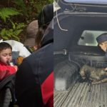 Pompierii din Sibiu: O misiune de salvare care a adus speranță și umanitate în fața tragediei