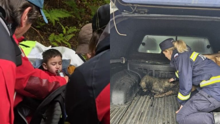 Pompierii din Sibiu: O misiune de salvare care a adus speranță și umanitate în fața tragediei