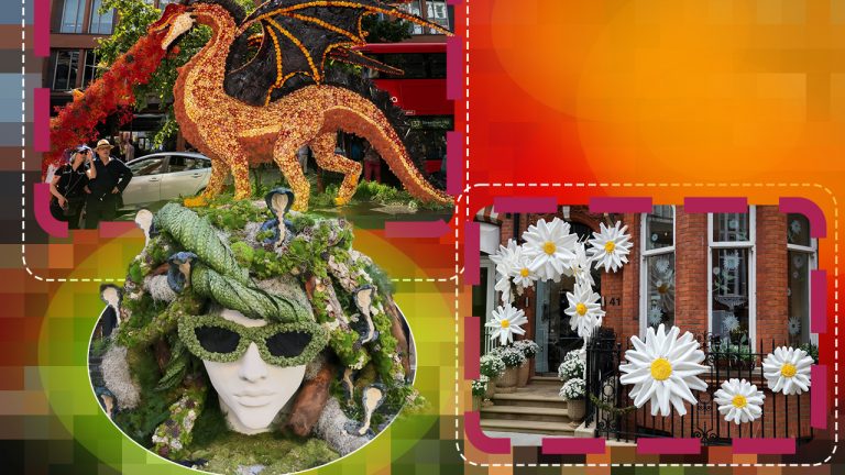 Londra în Flori: Cum Festivalul Chelsea in Bloom Transformă Capitala Britanică într-o Lume Fantastică