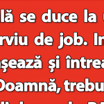 Umorul ca Reflexie a Societății: Analiza Bancului cu Bulă și Contextul Său Cultural