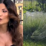 Ioana Ginghină și grădina ei: O poveste de pasiune și dedicare în mijlocul naturii