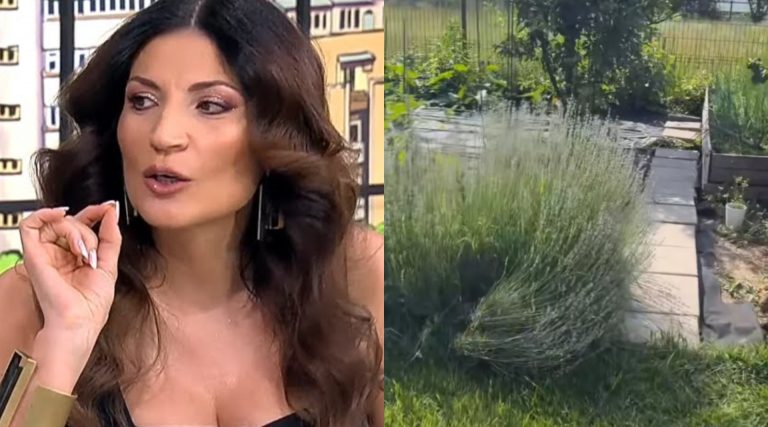 Ioana Ginghină și grădina ei: O poveste de pasiune și dedicare în mijlocul naturii