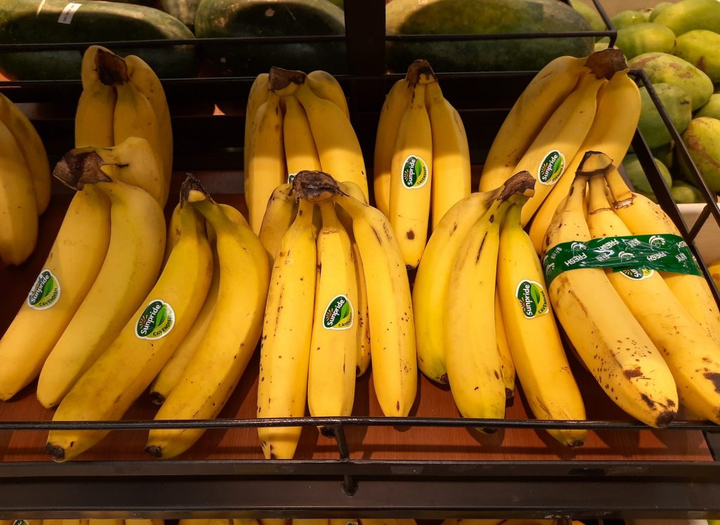 Bananele din supermarketuri: O amenințare globală în fața bolii Tropical Race 4