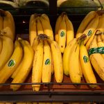 Bananele din supermarketuri: O amenințare globală în fața bolii Tropical Race 4