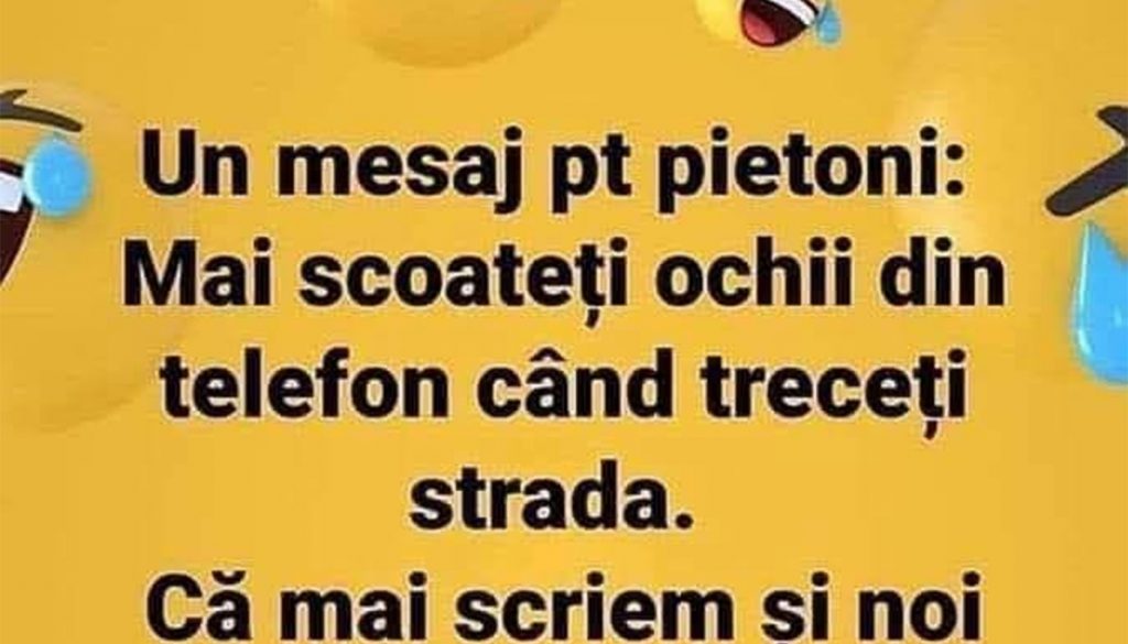 Humorul ca Reflexie Socială: Mesajul Pietonilor și Implicațiile Sale