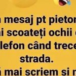 Humorul ca Reflexie Socială: Mesajul Pietonilor și Implicațiile Sale