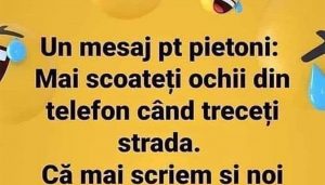 Humorul ca Reflexie Socială: Mesajul Pietonilor și Implicațiile Sale