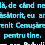 Umor și Viața Cotidiană: Mesajele Ascunse în Bancurile cu Bulă și Cenușăreasa
