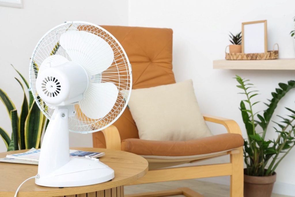Ghidul Complet pentru Alegerea Ventilatoarelor: Soluții Eficiente pentru Combaterea Căldurii în Apartament