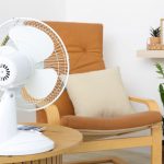 Ghidul Complet pentru Alegerea Ventilatoarelor: Soluții Eficiente pentru Combaterea Căldurii în Apartament