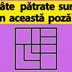 Provocarea Pătratelor: O Analiză Detaliată a Testelor de Inteligență și Impactul Lor