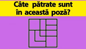 Provocarea Pătratelor: O Analiză Detaliată a Testelor de Inteligență și Impactul Lor