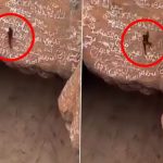 Tragedia unui Alpinist: Moartea lui Al-Qa’qa’ bin Antar, „Omul-Păianjen” din Yemen