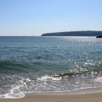 Vibrio: O Amenințare Crescândă pe Litoralul Mării Negre