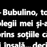 Umorul și relațiile: O analiză a bancurilor cu Bulă și Bubulina