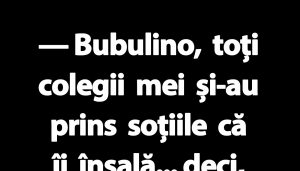 Umorul și relațiile: O analiză a bancurilor cu Bulă și Bubulina