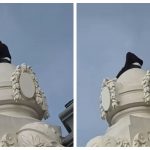 Curaj sau imprudență? Incidentul de la Cazinoul din Constanța și implicațiile sale