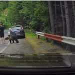 Ursul pe Transfăgărășan: O privire profundă asupra întâlnirilor om-animal și impactul lor în România