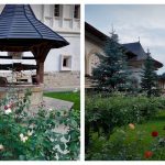 Experiența unică a unei turiste la Mănăstirea Putna: Liniște, ospitalitate și descoperiri spirituale